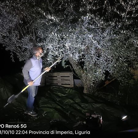 Agriturismo Monaci Templari 세보르가 외부 사진