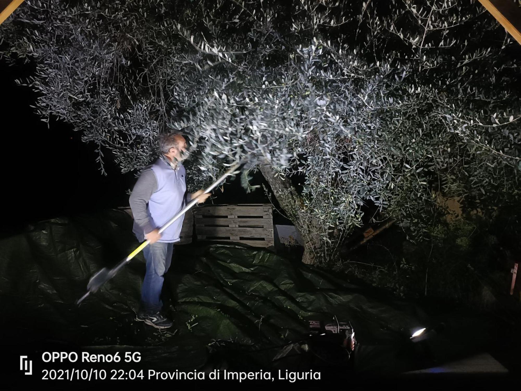Agriturismo Monaci Templari 세보르가 외부 사진