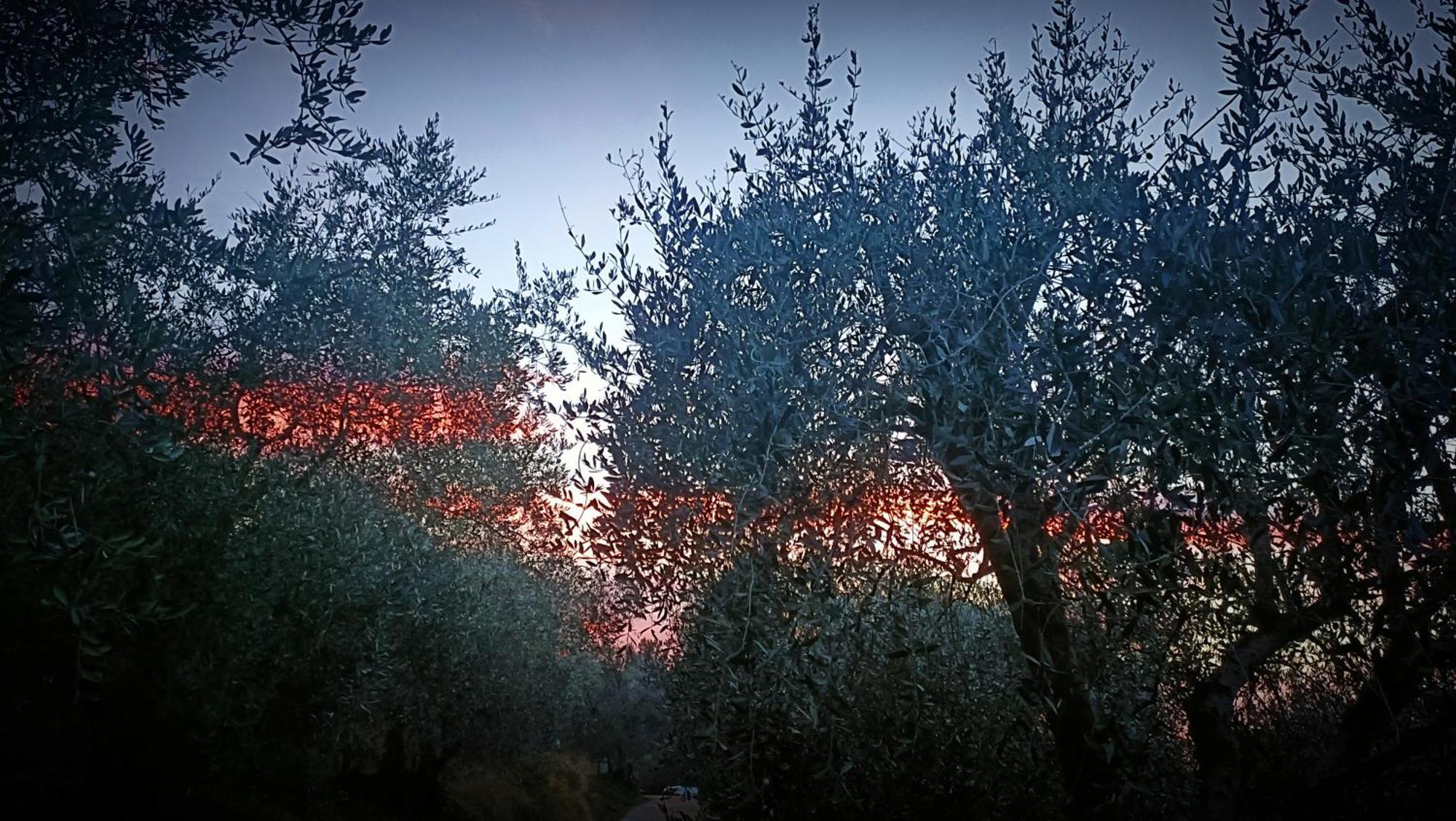 Agriturismo Monaci Templari 세보르가 외부 사진