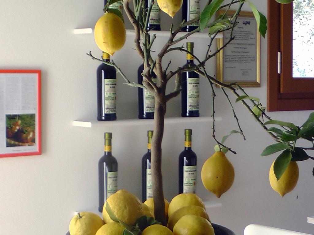 Agriturismo Monaci Templari 세보르가 외부 사진